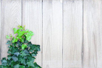 木目背景とグリーン