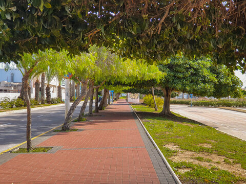 Vega Baja del Segura - Torrevieja - Pasando por calles, plazas, parques y rotondas.