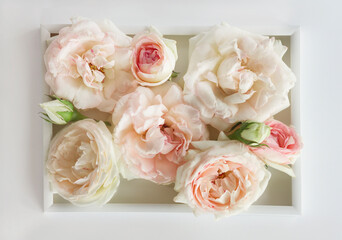 Bouquet of vintage romantic roses in pastel watercolor tones on a gray and white background in a white frame. 