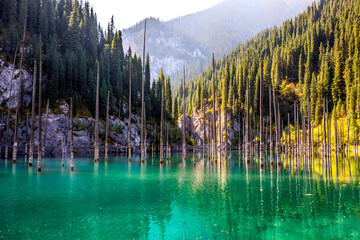 Lake Kaindy sunken forest in Kazakhstan. Beautiful mountain nature landscape. Blue lake Kolsai top view. Panoramic view of the nature reserve.