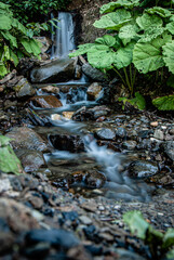 A small waterfall in the forest cascades