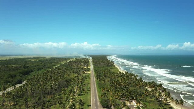 Beautiful Caribbean road with palm trees along the coast of Venezuela, road happy tucacas, Aerial view