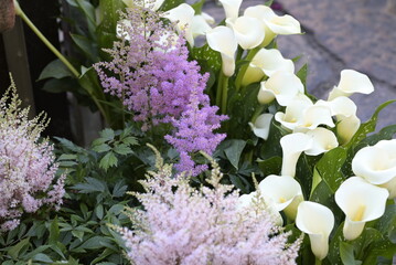 Fiori