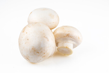 Champignon mushroom on white background. Full depth of field. Close-up