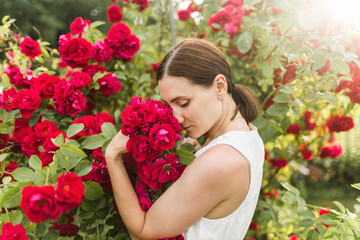 woman in the rose garden. Big bush of red roses