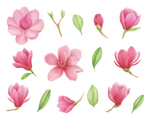 Fototapeta na wymiar Watercolor magnolia flowers set