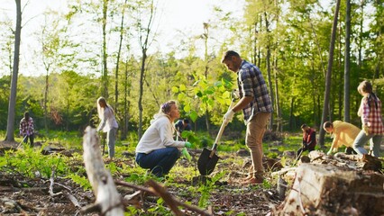 Caucasian man and woman environmental volunteers planting trees together and with multicultural...