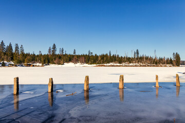 Oderteich im Nationalpark Harz