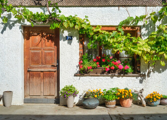 Garden and yard design in the old style. The facade of an apartment building. Pots of flowers. Photo in large resolution..