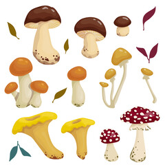 Set of autumn leaf mushrooms.Cartoon vector graphics.