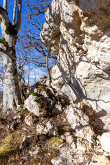 Winter mountain forest located on the ridge of the tourist route, on a sunny day, stone bags and grottoes located on the tourist route.