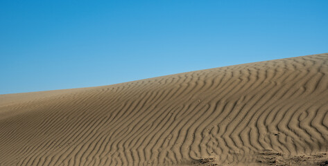 Naklejka premium Sand dry dunes against blue sky. Desert land