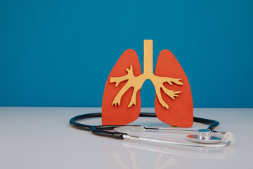 Disease prevention concept. Model of lungs and stethoscope are on doctor's table