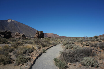 Views on caldera and el teide from La Rambleta, Tenerife, March 2022