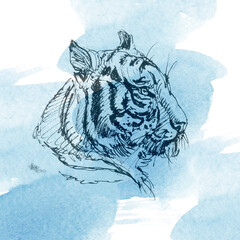 Poster. A combination of watercolor spots, splashes and tiger head images for the design of postcards, posters and other printed products. Blue and light blue color. Watercolor and line graphics.