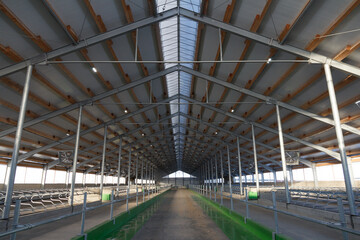 Timber frame roof construction in a barn under construction. Wooden roof frame.