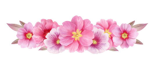 Fototapeta na wymiar Bouquet with pink primroses, watercolor illustration