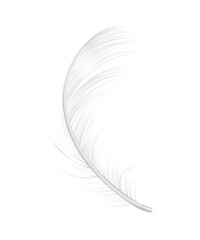 Realistic Feather Icon