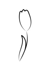 Vector linear simple botanical poster. Abstract art lines, wall paintings, flowers, leaves, plants. Modern design, doodle shapes, cover template, printing of T-shirts, postcards, banners and more.