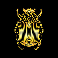 A golden beetle in a linear style. Linear vector illustration of a golden beetle.