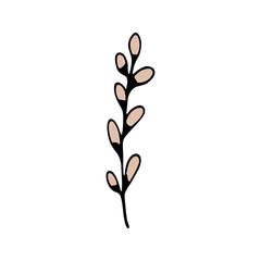 Naklejka premium Cute single hand drawn flowers willow. Spring blossom.
