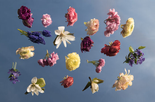 arrangement of different colorful spring flowers on mirror reflecting blue sky