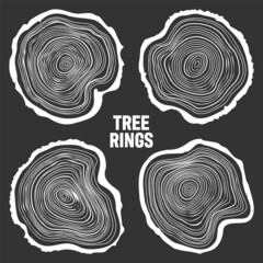 Fototapeta premium White round tree trunk cuts, sawn pine or oak slices, lumber. Saw cut timber, wood. Wooden texture with tree rings. Hand drawn sketch. Vector illustration