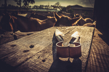 FOTO TIRADA NO BRETE PARA TOSO DAS CRINAS E COLA 