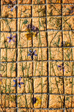 Sourdough Crackers close up shot