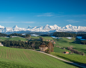 traditional Bernese farmhouse called Stöckli in front of the mighty Bernese Alps in spring