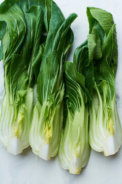 Close up image of pak choi cabbage