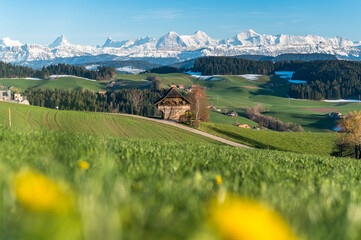 view from Emmental over the Bernese Alps