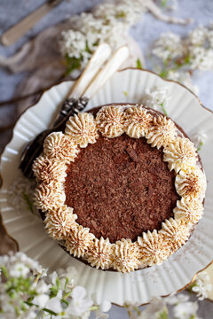 A two layer chocolate cake sandwiched together wth jam and whipped cream.