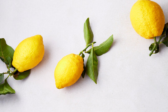 AMALFI LEMONS