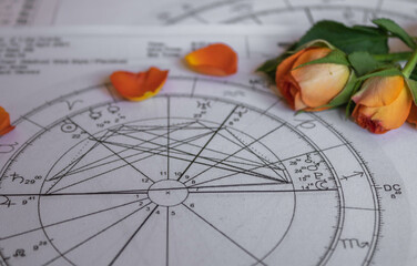 Printed astrology chart with two small orange roses and rose petals  in the background