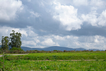 Mountain scenery on a misty sky in a summer evening