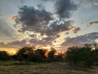 Fototapeta na wymiar Sunset in the bushveld