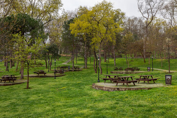 Emirgan park and tulip flowers close-up view in Emirgan neighbourhood in the Sariyer district of Istanbul, Turkey on April 12, 2022.