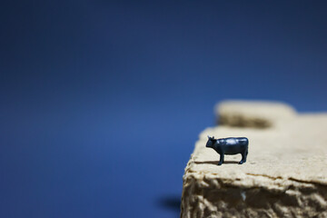 Animal welfare and farming of cattle.