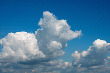 Fototapeta na wymiar Cloud. Cloud is white like little animal against blue sky close-up.