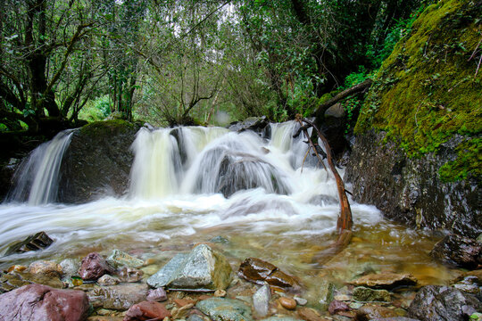 Beautiful landscape of inter-Andean forest where a stream of water runs that forms waterfalls and a small river.