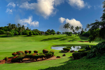 Golfing In Paradise