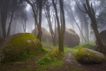 A path in the forest with mossy rocks and trees with fog in Sintra moutain. © p_rocha