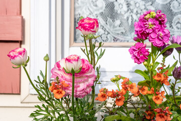 Spring flowers in a window box