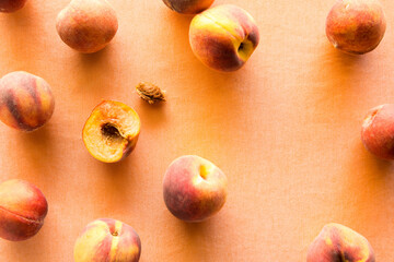 Top down view of fresh peaches against a bright peach background.