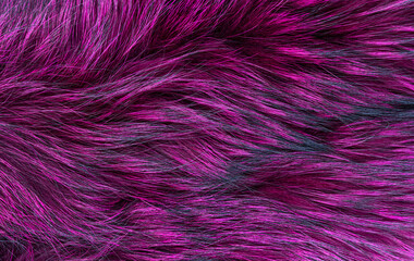 Fototapeta premium Natural fur texture, trendy color, flat lay closeup