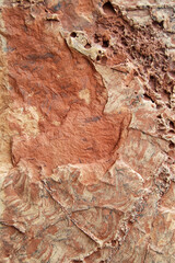 Background of closeup of sandstone rock with erosion