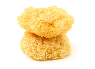 Tremella fuciformis on white background 