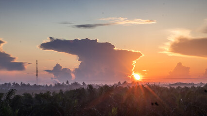 Indonesia palm oil plantation with a single road during golden sunrise