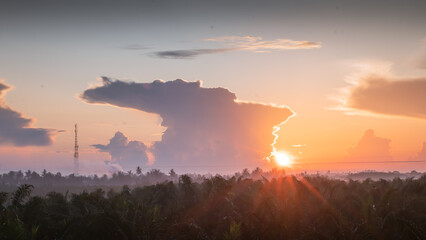 Fototapeta premium Indonesia palm oil plantation with a single road during golden sunrise